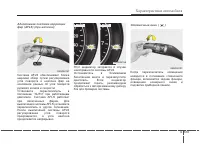 Страница 213
