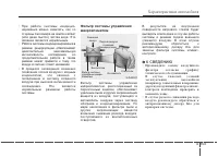 Страница 243