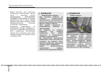 Страница 260