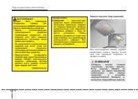 Страница 262