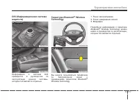 Страница 267