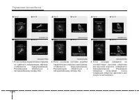 Страница 295