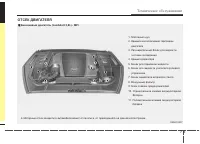 Страница 411