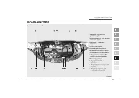Страница 236