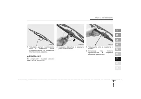 Страница 262