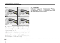 Страница 176