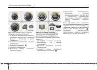Страница 206
