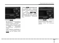 Страница 241