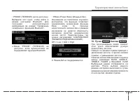 Страница 243