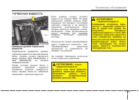 Страница 435
