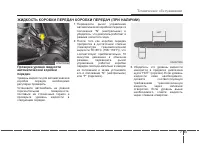 Страница 437