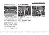 Страница 441
