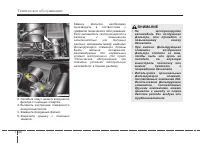 Страница 442