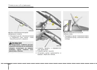 Страница 446