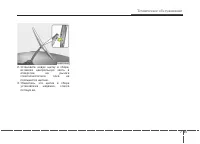 Страница 447