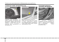 Страница 509