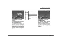 Страница 203