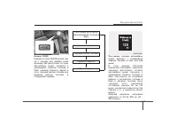 Страница 209