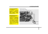 Страница 293