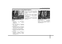 Страница 323