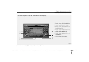Страница 233