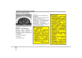 Страница 305