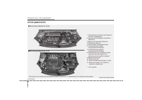 Страница 319