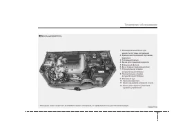 Страница 320