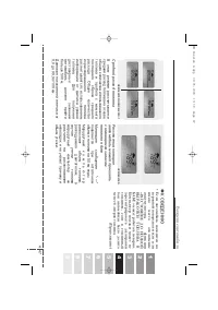 Страница 209
