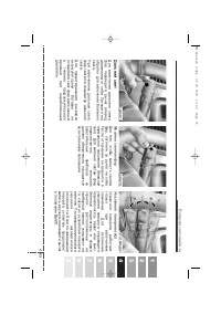 Страница 225