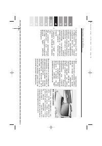 Страница 246