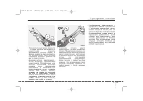 Страница 239