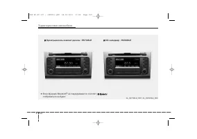 Страница 242