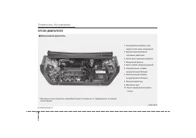 Страница 294