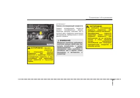Страница 323