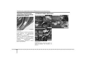 Страница 388