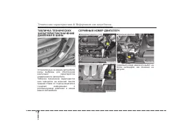 Страница 498