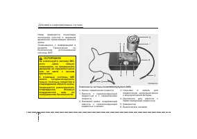 Страница 372
