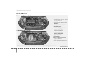 Страница 391