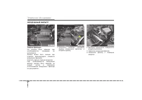 Страница 429