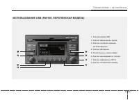 Страница 137