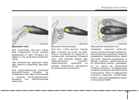 Страница 215