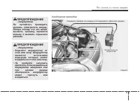 Страница 275