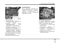 Страница 279