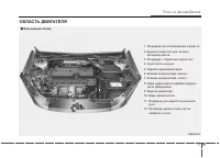 Страница 315