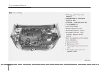 Страница 316