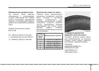 Страница 343