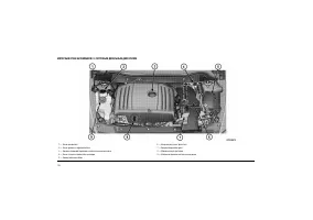 Страница 186
