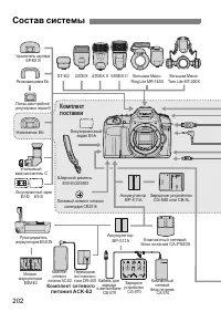 Страница 202