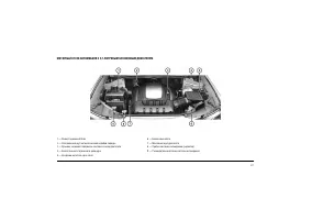 Страница 275